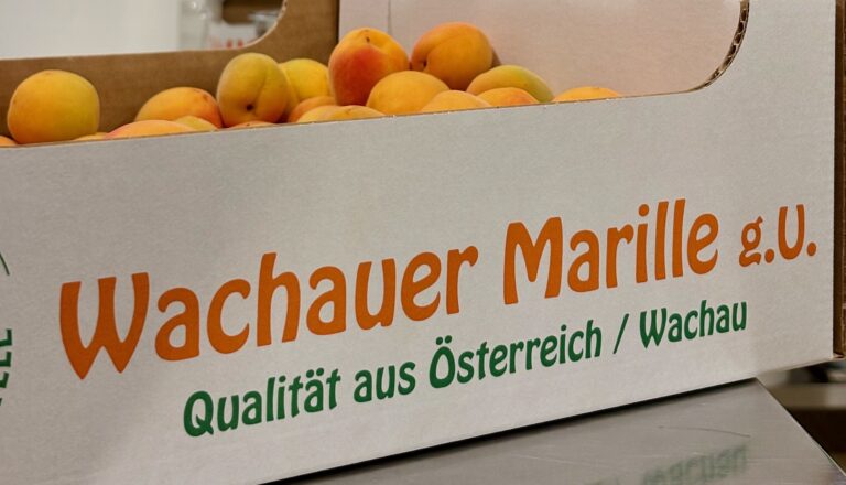Kiste mit Original Wachauer Marillen für die Verarbeitung am Eggenhof