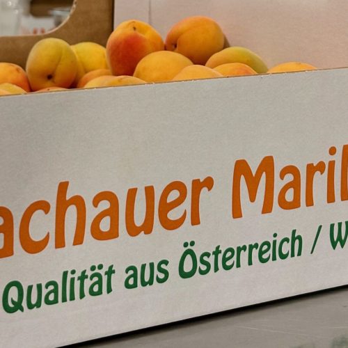 Kiste mit Original Wachauer Marillen für die Verarbeitung am Eggenhof